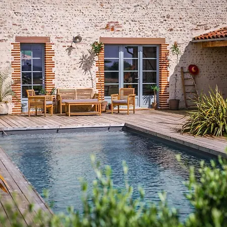 L'albigeoise Des Templiers - Piscine - Vue Panoramique